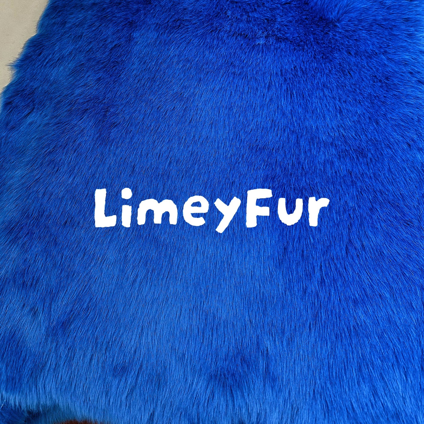 Limited 1st Edition: Cosmic Blue Teddy Faux Fur (Short)