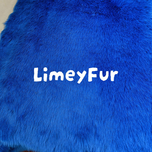 Limited 1st Edition: Cosmic Blue Teddy Faux Fur (Short)